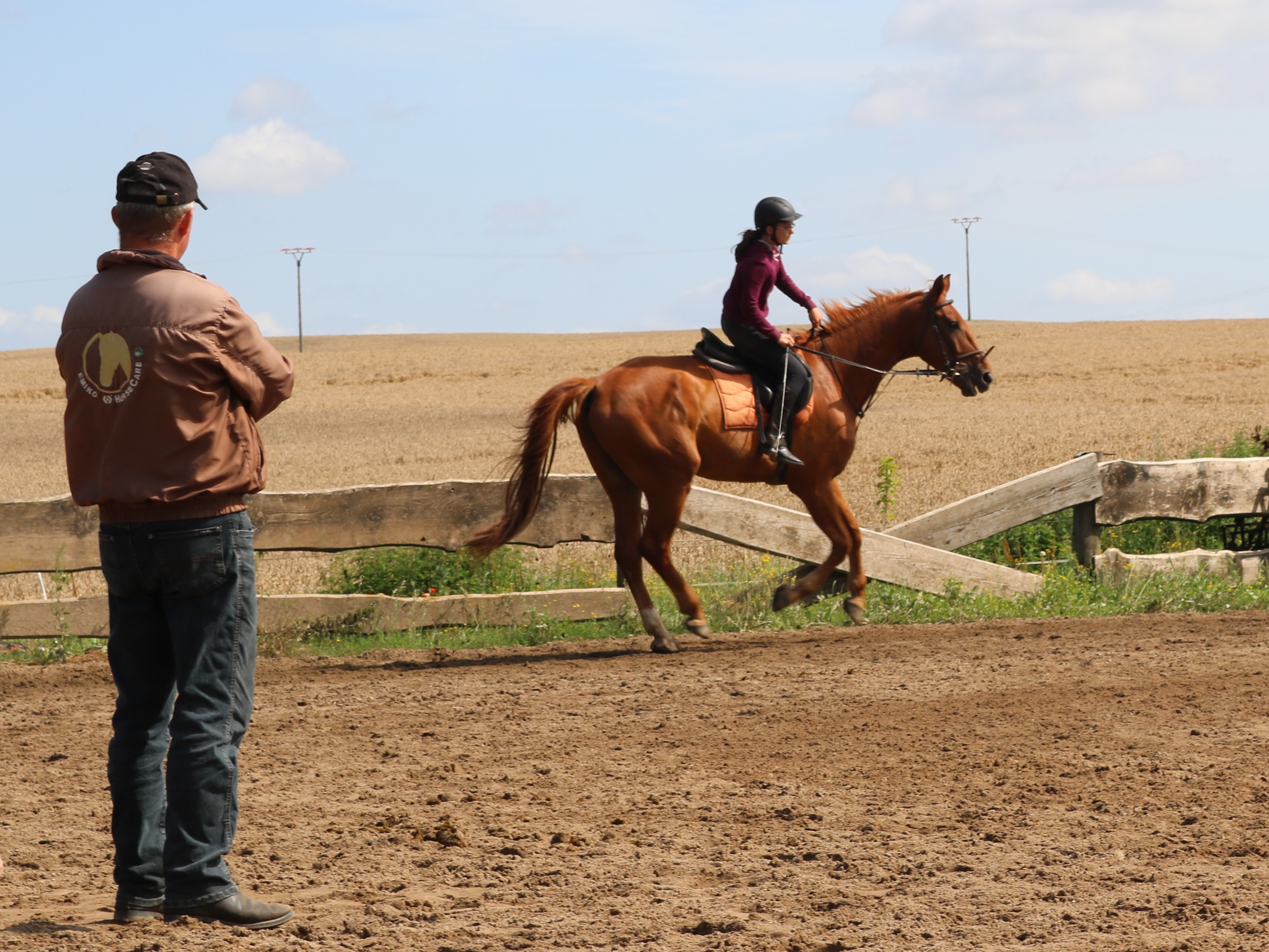 Bilder aus dem Reitstall